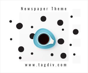 Newspaper WordPress Theme